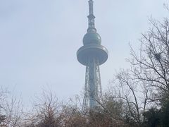 -青岛电视塔
