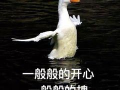 -志龙皇冠吃货椰子铺