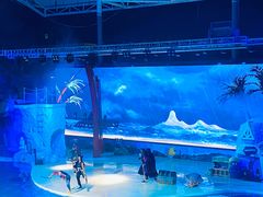 -三亚海昌梦幻海洋不夜城