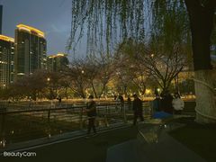 -西北湖绿化广场