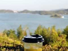 -天目湖涵田半山温泉