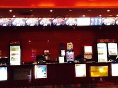 -大地影院(宁波培罗成店)