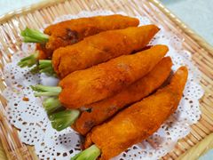 -丁老爷子苏香圆