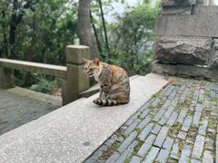 -穹窿山景区