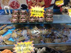 零售区-必点海鲜·鲅鱼水饺(鞍山西道店)
