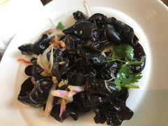 洋葱木耳-顺德食府(大明湖店)