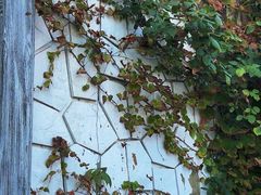 -Vanillacafe香草咖啡(银海大世界店)