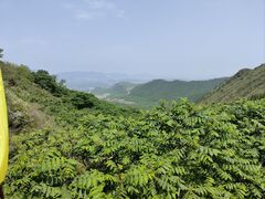 -山叶口景区