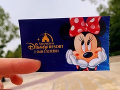 -上海迪士尼度假区