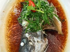 清蒸石蚌-万山楼海鲜酒家·二十三年老字号