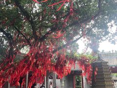 -国恩寺