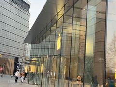 -Apple零售店(华贸购物中心店)