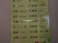 -陕西自然博物馆