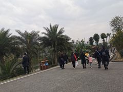 -枫香湖儿童公园