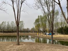 -东郊湿地公园