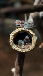 -Zoolung Zoolung动物主题公园(海信广场店)