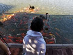 -春晖园度假酒店温泉