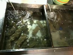-渔家火锅·海鲜自助餐·演艺(亚龙湾天域酒店)