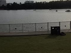 -美兰湖景区
