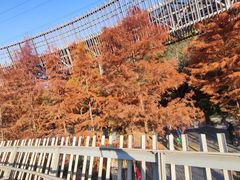 -梅峰山地公园