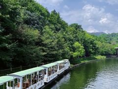 -素山寺森林公园