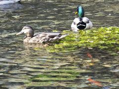 -水磨沟公园