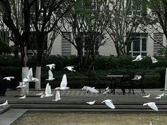 -外滩
