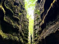 -梭布垭石林景区