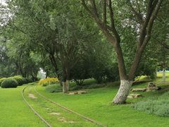 -永定河休闲森林公园