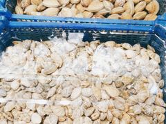 -小螺号海鲜·地道鲁菜(泉城广场店)