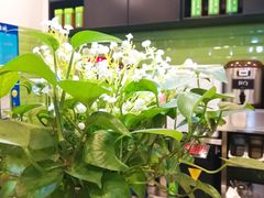-巡茶(汇邻广场店)