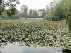 -呈贡滇池生态湿地公园