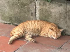 -广州科技贸易职业学院