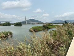 -芒洲湿地公园