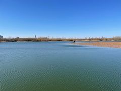 -大兴滨河森林公园