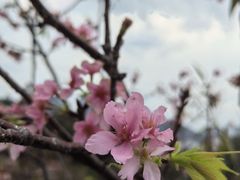 -小南山公园
