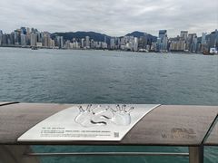 -星光大道