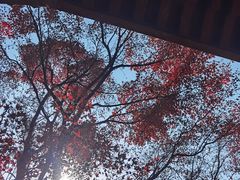 -堤角公园