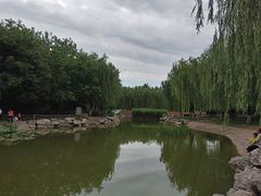 -丰台科技园生态主题公园