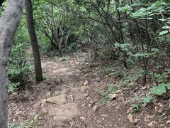 -云峰山自然风景区