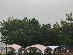 -二沙岛艺术公园