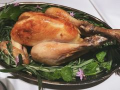 -Oyster Talks 四度蚝法餐厅