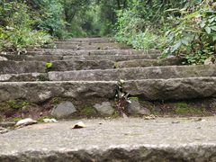 -杭州半山国家森林公园