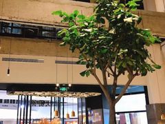 -大树餐厅(红旗街万达店)