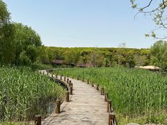 -同里国家湿地公园