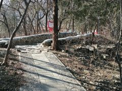 -阳台山自然风景区