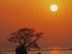 -贡湖湾湿地公园