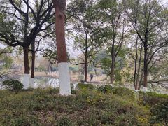 -八大山人梅湖景区