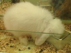 -龙猫仔乐园(惠福东路店)