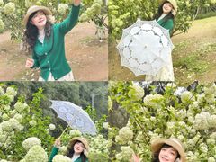 -铁山坪森林公园